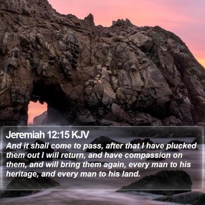 Jeremiah 12:15 KJV Bible Verse Image
