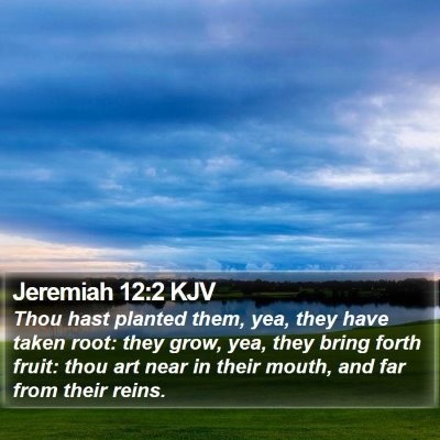 Jeremiah 12:2 KJV Bible Verse Image