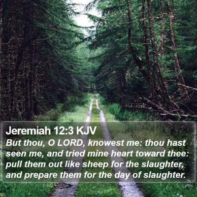 Jeremiah 12:3 KJV Bible Verse Image