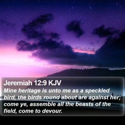 Jeremiah 12:9 KJV Bible Verse Image