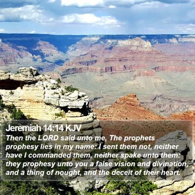 Jeremiah 14:14 KJV Bible Verse Image