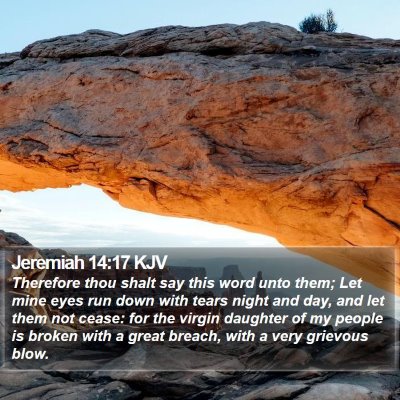 Jeremiah 14:17 KJV Bible Verse Image