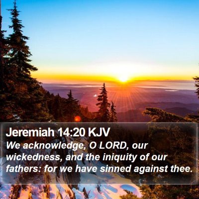 Jeremiah 14:20 KJV Bible Verse Image