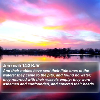 Jeremiah 14:3 KJV Bible Verse Image