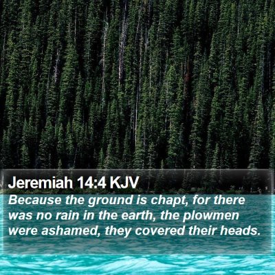 Jeremiah 14:4 KJV Bible Verse Image
