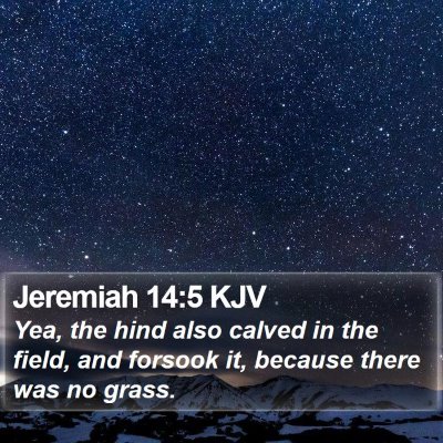 Jeremiah 14:5 KJV Bible Verse Image
