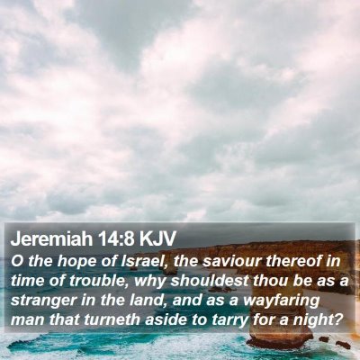 Jeremiah 14:8 KJV Bible Verse Image