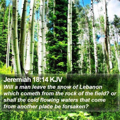 Jeremiah 18:14 KJV Bible Verse Image
