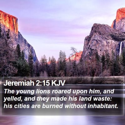 Jeremiah 2:15 KJV Bible Verse Image