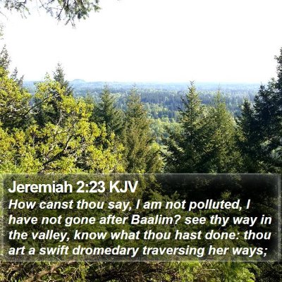 Jeremiah 2:23 KJV Bible Verse Image