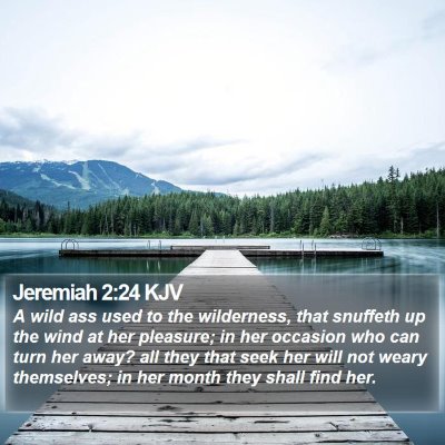 Jeremiah 2:24 KJV Bible Verse Image