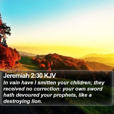 Jeremiah 2:30 KJV Bible Verse Image