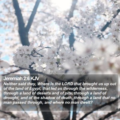 Jeremiah 2:6 KJV Bible Verse Image