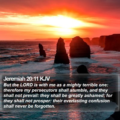 Jeremiah 20:11 KJV Bible Verse Image