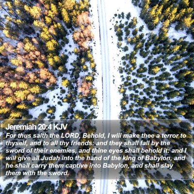 Jeremiah 20:4 KJV Bible Verse Image