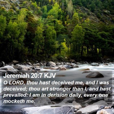 Jeremiah 20:7 KJV Bible Verse Image