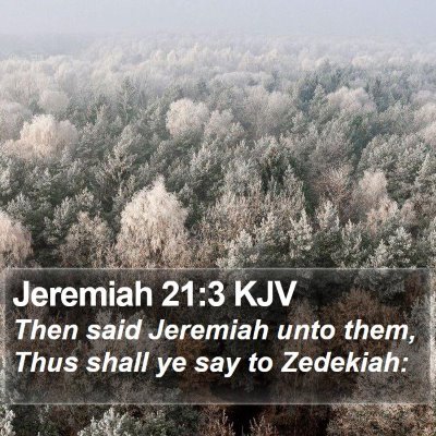 Jeremiah 21:3 KJV Bible Verse Image