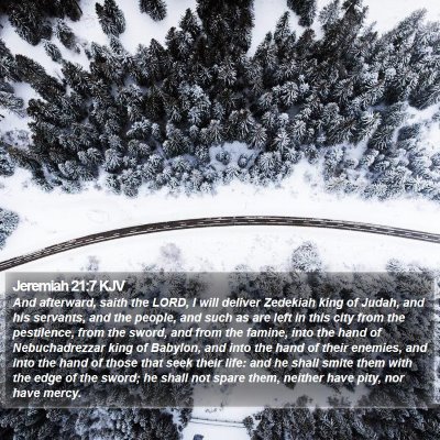 Jeremiah 21:7 KJV Bible Verse Image