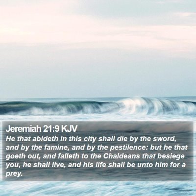 Jeremiah 21:9 KJV Bible Verse Image
