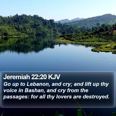 Jeremiah 22:20 KJV Bible Verse Image