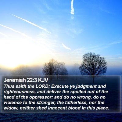 Jeremiah 22:3 KJV Bible Verse Image