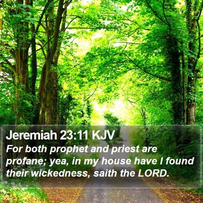 Jeremiah 23:11 KJV Bible Verse Image