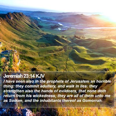 Jeremiah 23:14 KJV Bible Verse Image