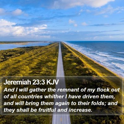 Jeremiah 23:3 KJV Bible Verse Image