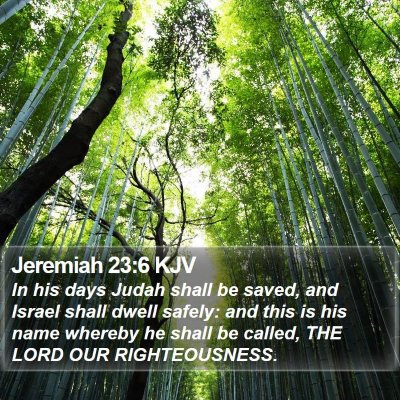 Jeremiah 23:6 KJV Bible Verse Image