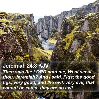 Jeremiah 24:3 KJV Bible Verse Image