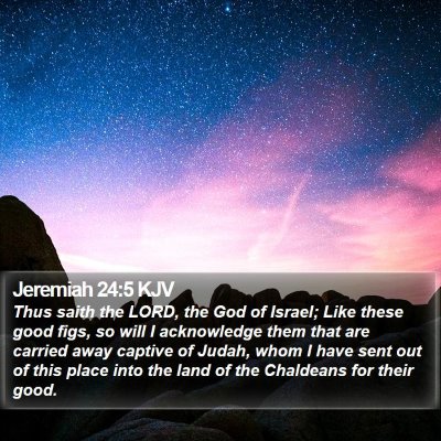 Jeremiah 24:5 KJV Bible Verse Image