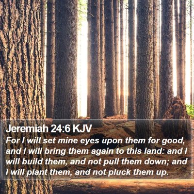 Jeremiah 24:6 KJV Bible Verse Image