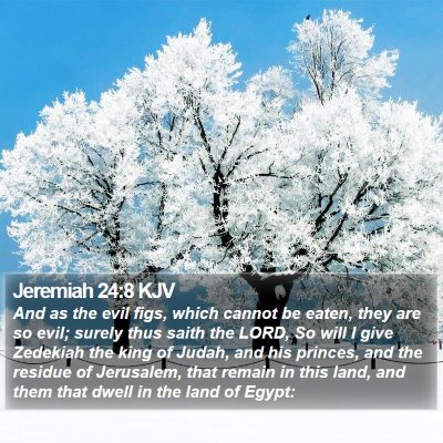 Jeremiah 24:8 KJV Bible Verse Image