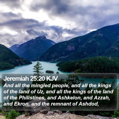 Jeremiah 25:20 KJV Bible Verse Image
