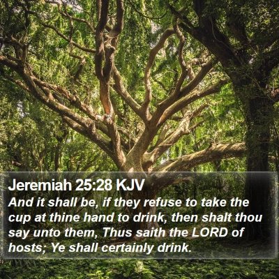 Jeremiah 25:28 KJV Bible Verse Image