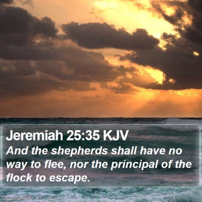 Jeremiah 25:35 KJV Bible Verse Image