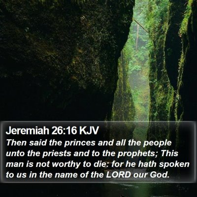 Jeremiah 26:16 KJV Bible Verse Image