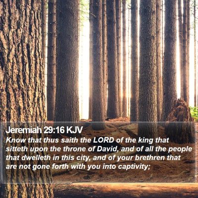 Jeremiah 29:16 KJV Bible Verse Image