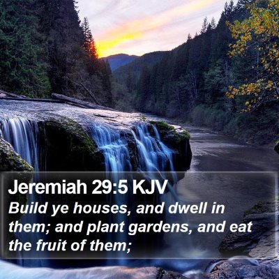Jeremiah 29:5 KJV Bible Verse Image