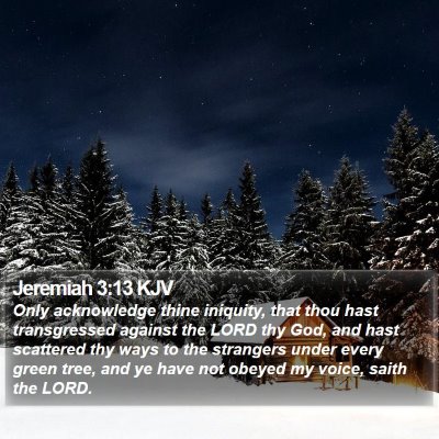 Jeremiah 3:13 KJV Bible Verse Image