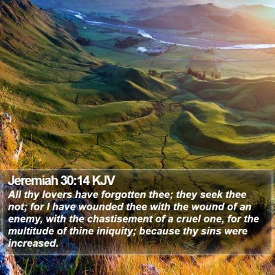 Jeremiah 30:14 KJV Bible Verse Image
