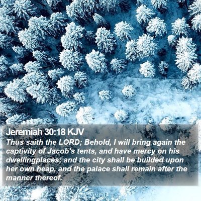 Jeremiah 30:18 KJV Bible Verse Image