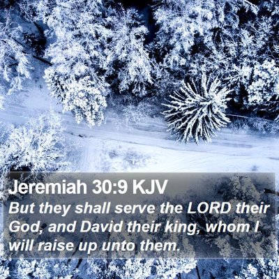 Jeremiah 30:9 KJV Bible Verse Image