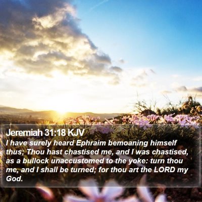 Jeremiah 31:18 KJV Bible Verse Image