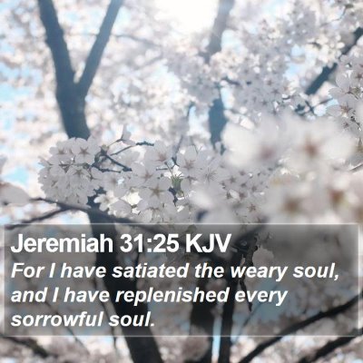 Jeremiah 31:25 KJV Bible Verse Image