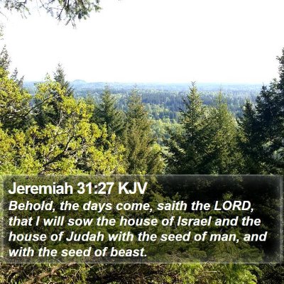 Jeremiah 31:27 KJV Bible Verse Image