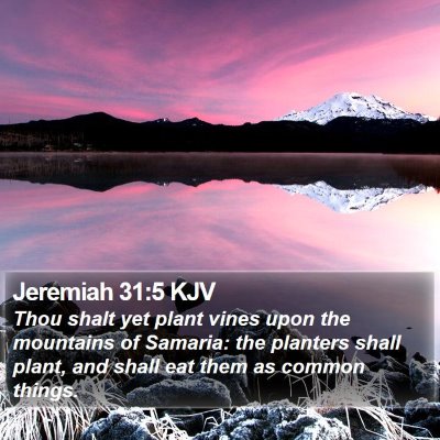 Jeremiah 31:5 KJV Bible Verse Image