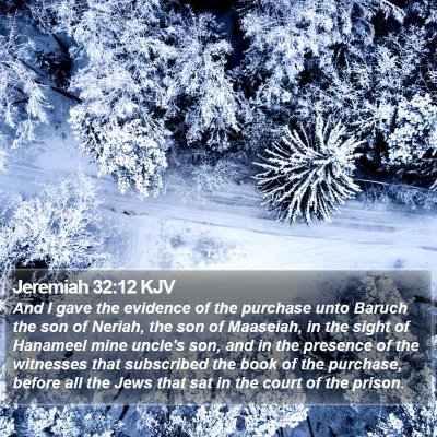 Jeremiah 32:12 KJV Bible Verse Image