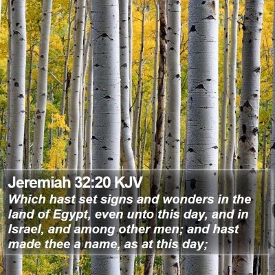 Jeremiah 32:20 KJV Bible Verse Image