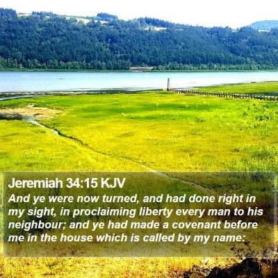 Jeremiah 34:15 KJV Bible Verse Image